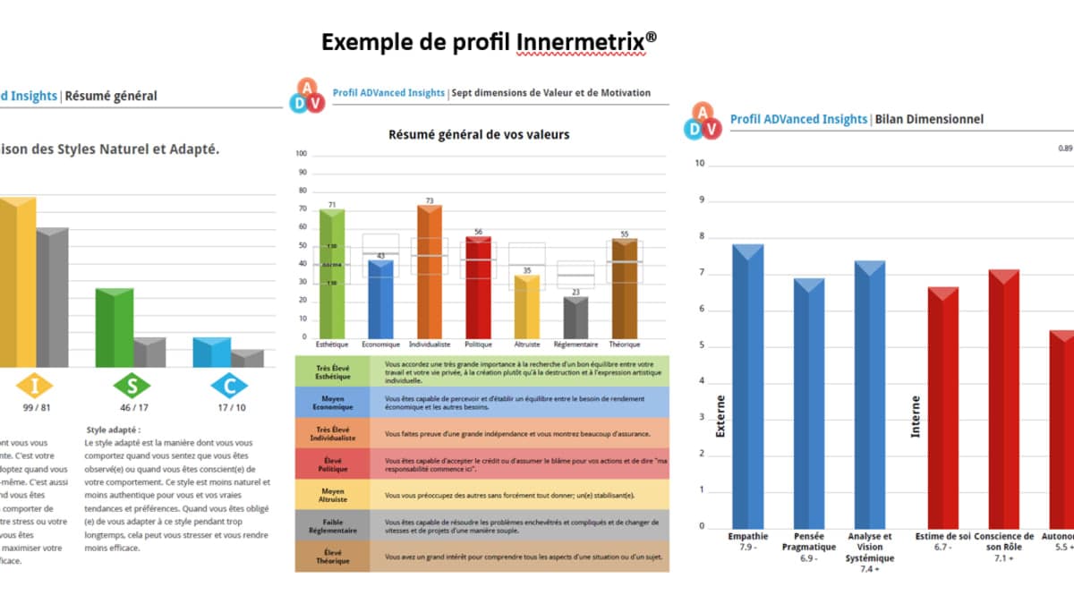Mieux se comprendre pour mieux performer : découvrez votre profil DISC- Valeurs - Appétences mentales